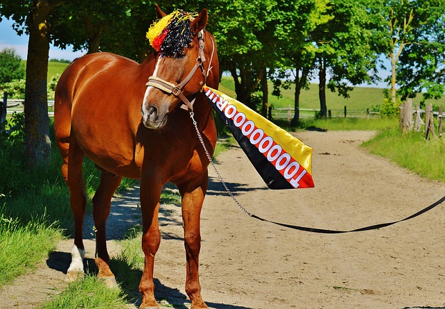 设备奠定了 设备奠定了